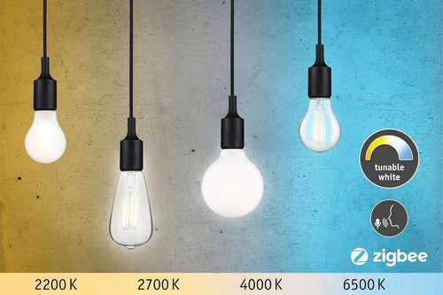 Paulmann 50396 LED Filament Light Bulb G95 Globe Smart Home Zigbee Tunable White 7 W Dimmable Bulb Opal Gold Light up to Daylight White 2200-6500K E27