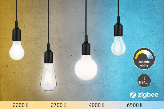 Paulmann 50396 LED Filament Light Bulb G95 Globe Smart Home Zigbee Tunable White 7 W Dimmable Bulb Opal Gold Light up to Daylight White 2200-6500K E27