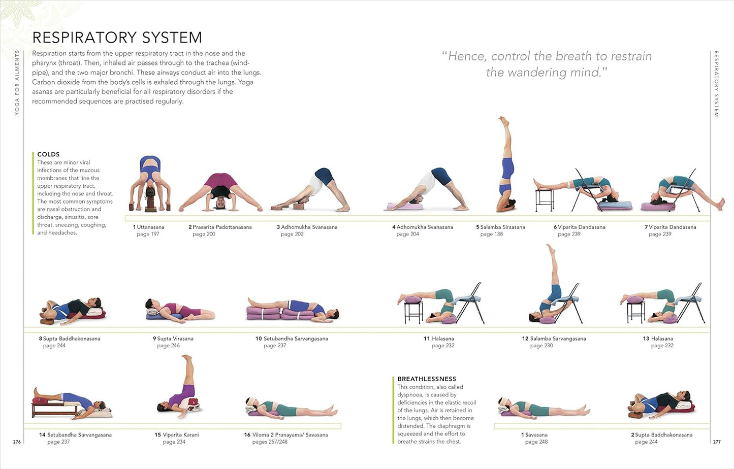 B.K.S. Iyengar Yoga The Path to Holistic Health: The Definitive Step-by-step Guide