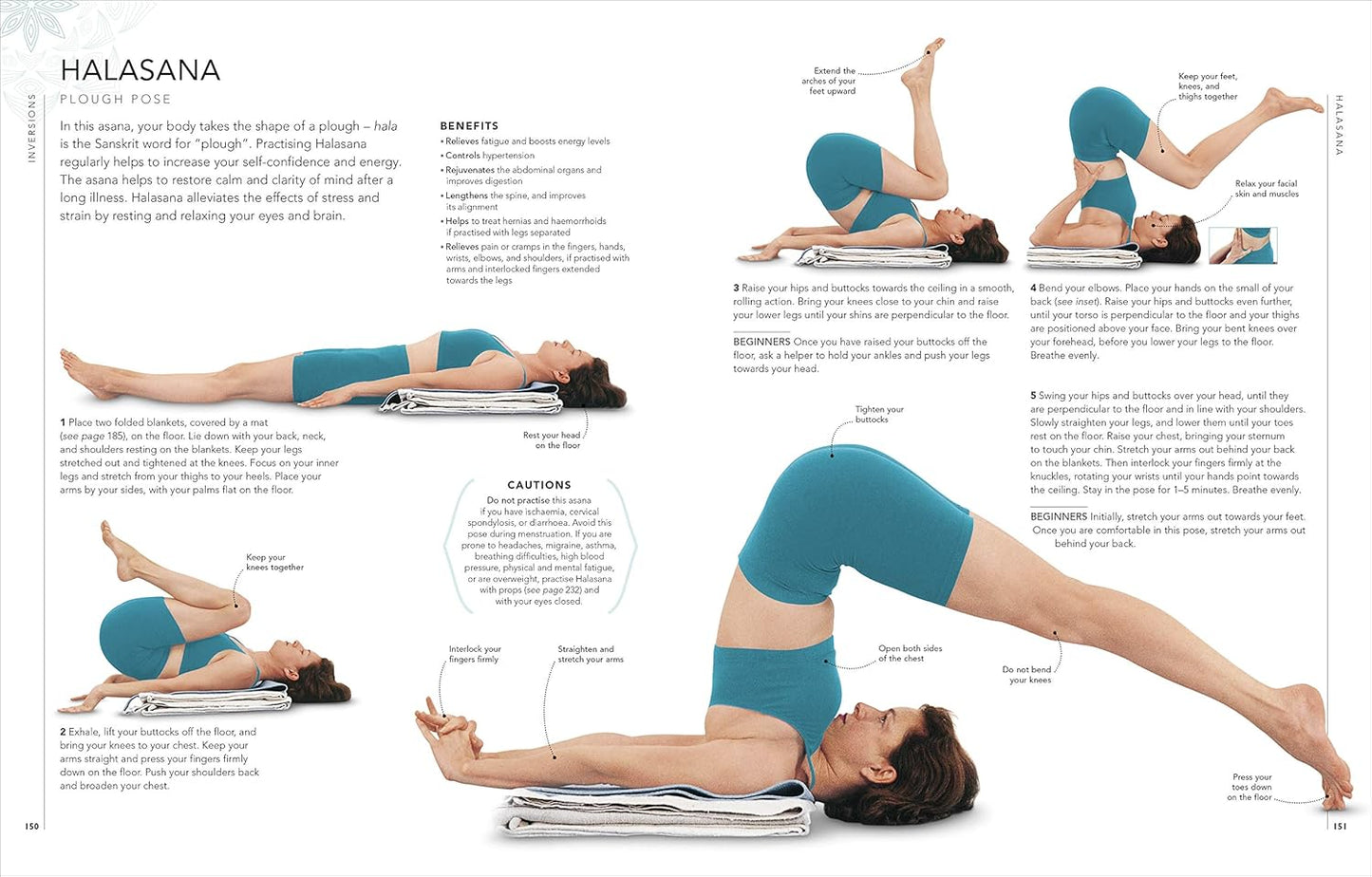 B.K.S. Iyengar Yoga The Path to Holistic Health: The Definitive Step-by-step Guide