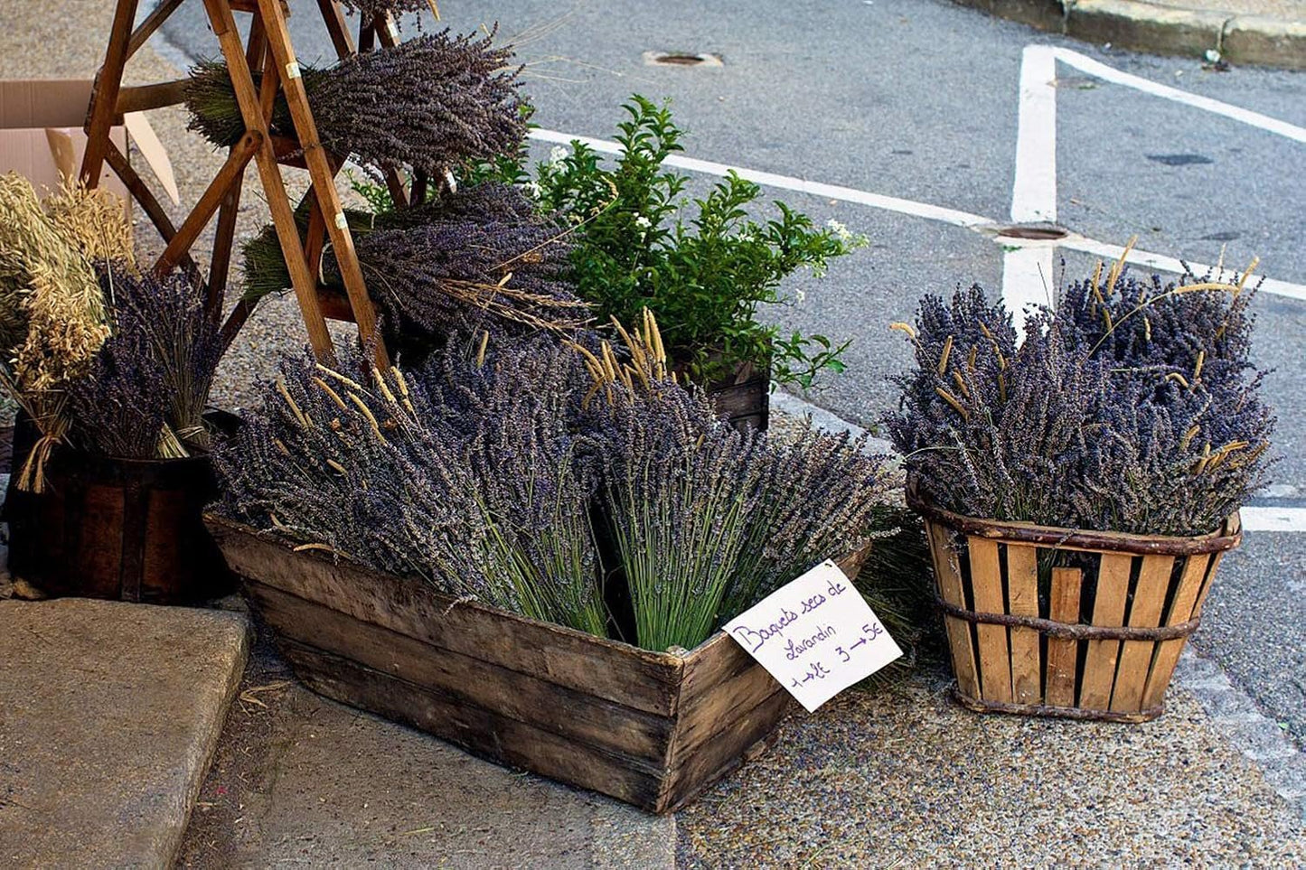 TooGet Natural Lavender Bundles, Freshly Harvested 200+ Stems Dried Lavender Bunch 16" - 18" Long, Decorative Flowers Bouquet for Home Decor, Crafts, Gift, Wedding or Any Occasion