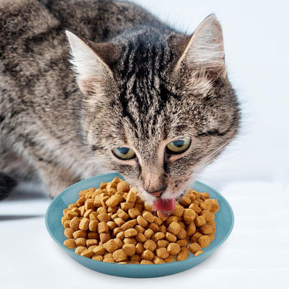 8pcs Cat Food Bowls, 6 inch Whisker Fatigue Cat Bowls for Food and Water Wheat Straw Shallow Wide Cat Dish Plates Colorful Kittens Wet Feeding Watering Tray for Pet Cats Dogs