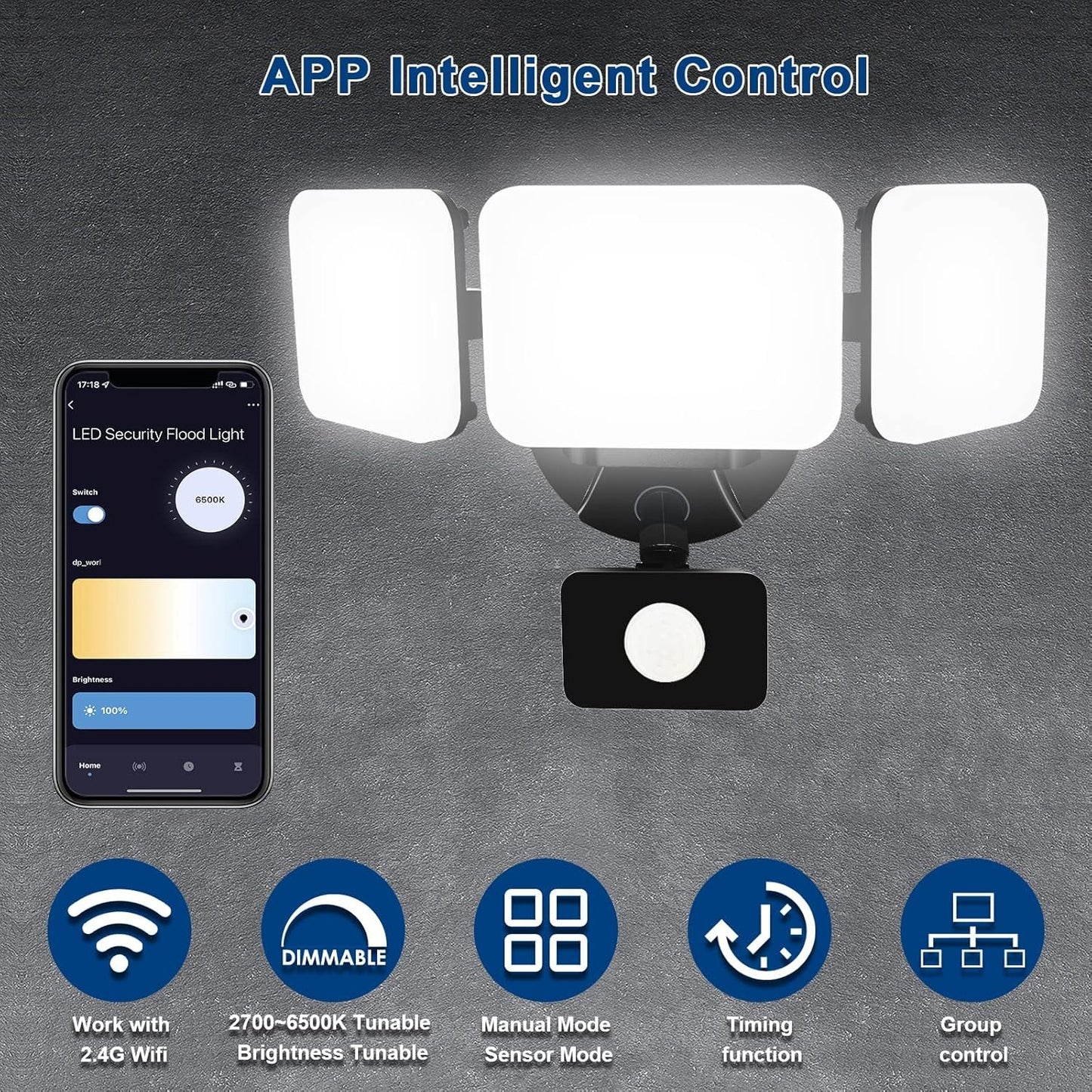 EMANER Smart Security Light Motion Sensor, Compatible with Alexa/Google Home, Warm White to Daylight White Brightness Adjust, App Controlled WiFi Flood Light (Black, 1-Pack)