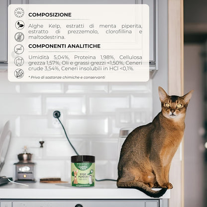 Lamina Care - Natural Supplement for Cleaning Teeth for Dogs and Cats with Kelp Algae to Improve Bad Dog Breath, Powder Dissolves Tartar Dog of Pleasant Taste, Alternative to Toothbrush for Dogs