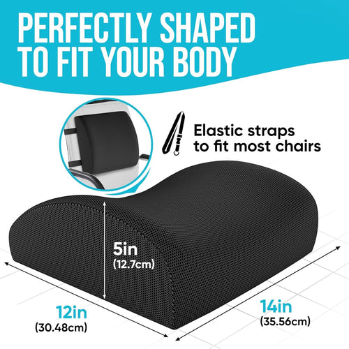 FORTEM Lumbar Support Office Chair, Lumbar Support Pillow for Car, Office Chair Back Support, Lumbar Pillow for Desk Chair, Memory Foam Back Cushion, Washable Cover (Mesh, Black)