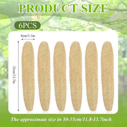 Supkiir 6 Pack Natural Loofah Sponges, Organic Luffa Bath Shower Loofah Sponge, Easy Foaming Exfoliating Body Skin Scrubber Sponges for Shower Kitchen Cleaning Wash