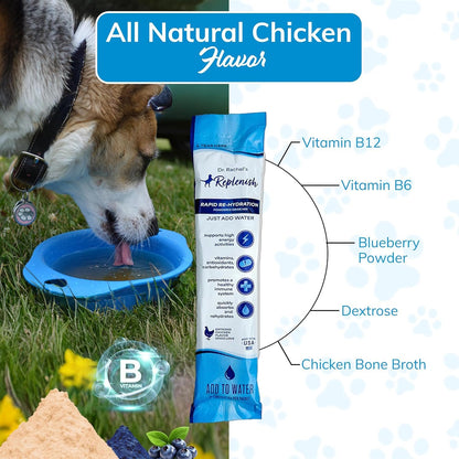 Replenish Dog Water Recovery Supplement, All-Natural Flavoring, 10 Packets per Box