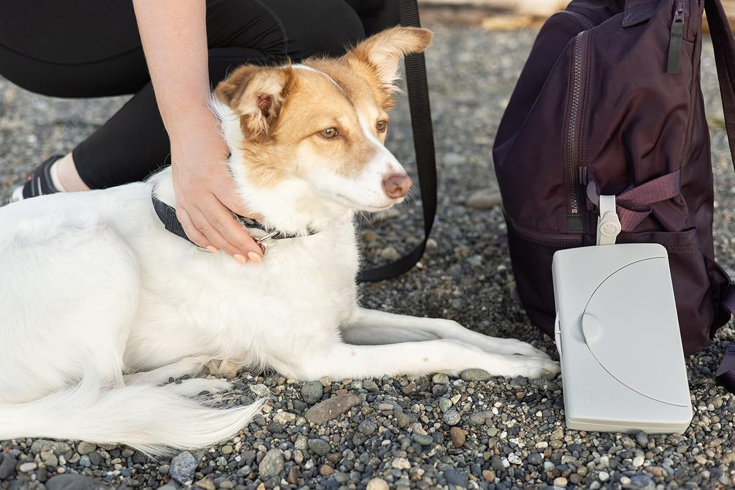 Ubbi On-The-Go Pet Wipes Dispenser, Grooming Wet Wipes Container for Dogs and Cats, Moisture Locking Wipes Dispenser for Pet Home and Travel, Gray