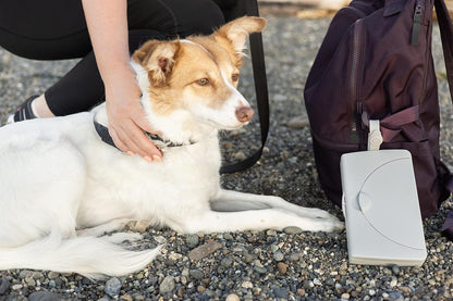 Ubbi On-The-Go Pet Wipes Dispenser, Grooming Wet Wipes Container for Dogs and Cats, Moisture Locking Wipes Dispenser for Pet Home and Travel, Gray