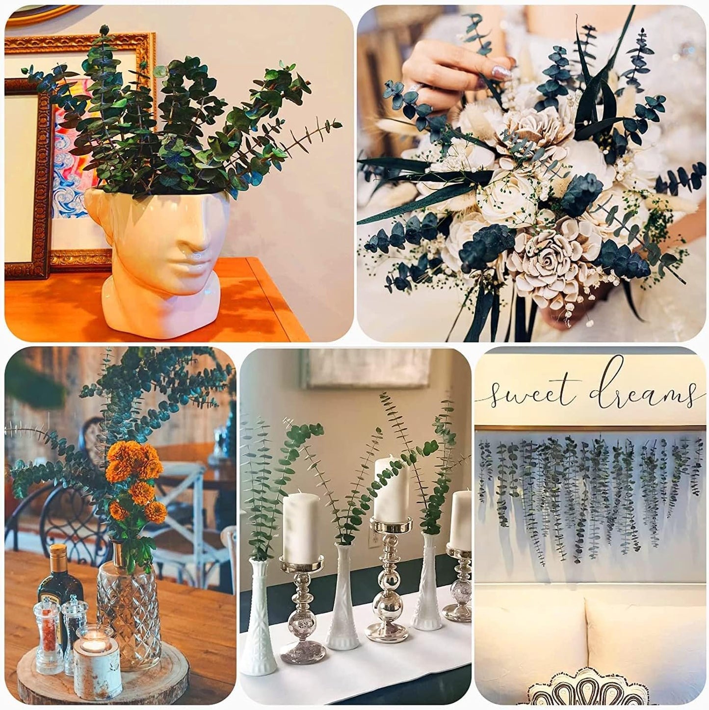 Large Package Dried Preserved Eucalyptus Stems Shower Bundle, 30 Pcs 17" 100% Natural Fresh Eucalyptus Plant, Real Eucalyptus Leaves Branches, Gift for Mom, Vase Filler, Flowers Arrangement Home Decor