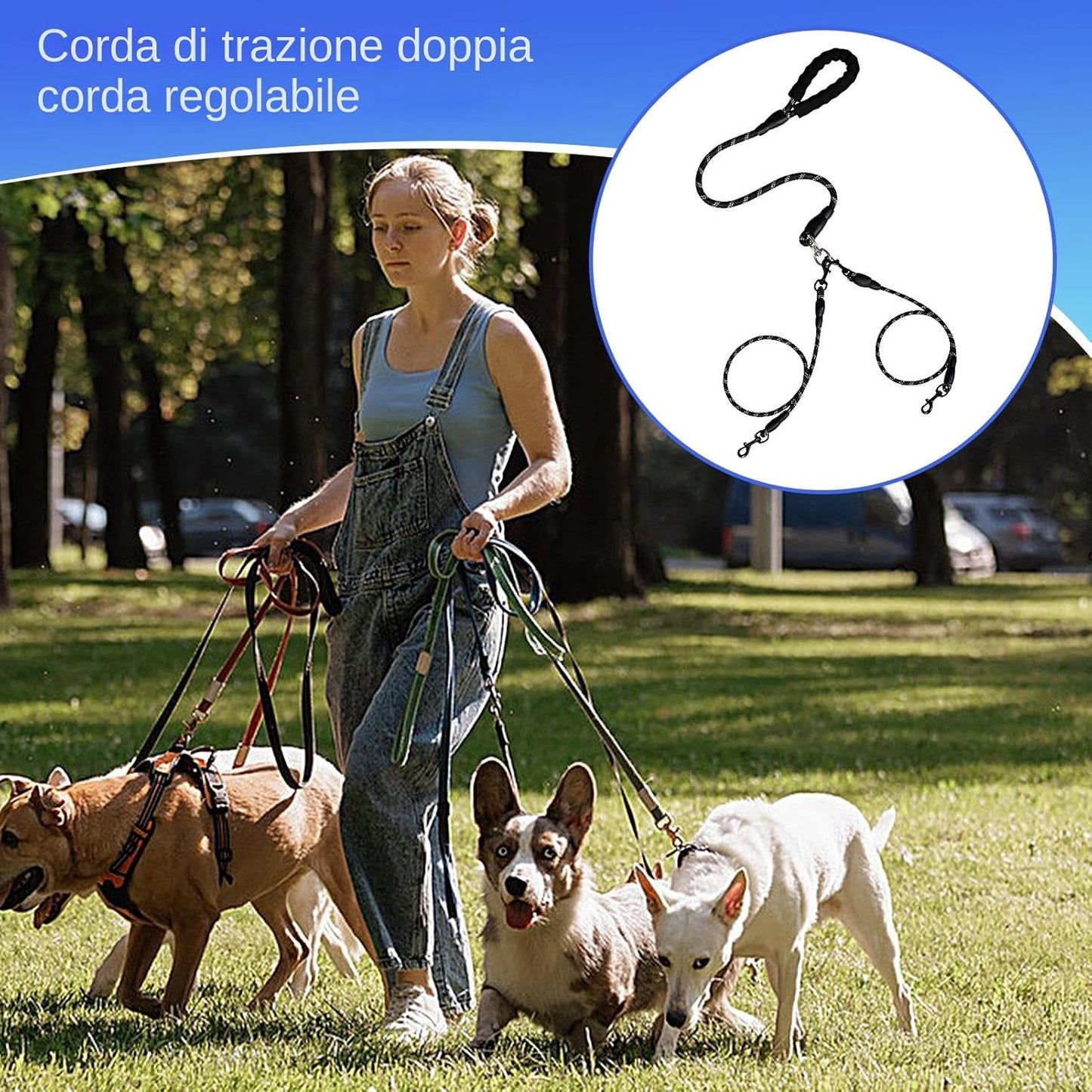 Double Dog Coupler, No Bungee Design, Heavy Duty Pet Lead, Comfortable dog handle, Shock Absorbing Walking Gear, Adjustable Outdoor Accessory for on Travel or Walks
