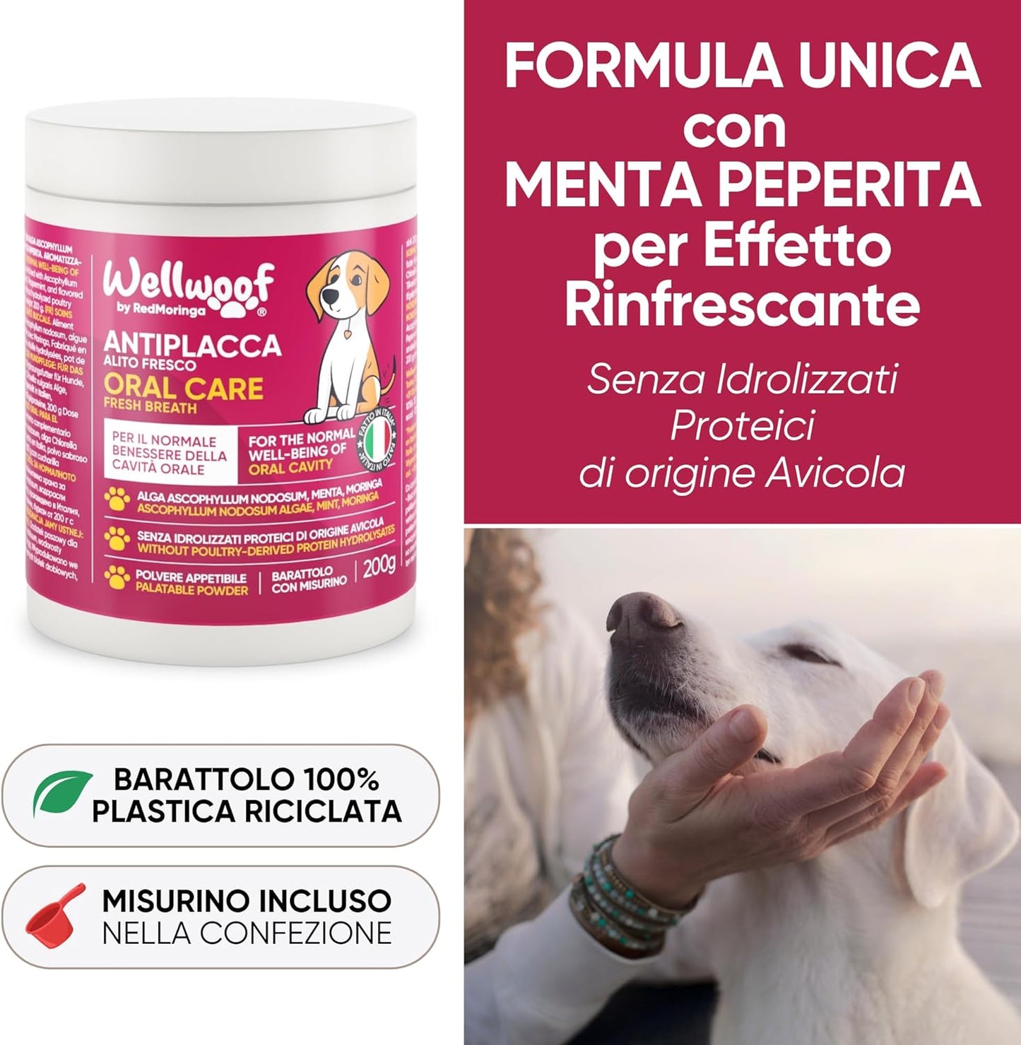 Wellfoof Dog Teeth Cleaning Supplement | Powder Supplement for Tartar Removal Dog | with Algae Ascophyllum Nodosum (75%), Moringa and Peppermint | Without Artificial Additives | 200 g