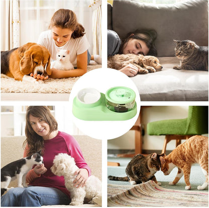 Pet Water Dispenser | Cat Feeding Station,Tilt Cervical Support, Quiet Design, Feeding & Watering Supplies for Home Use