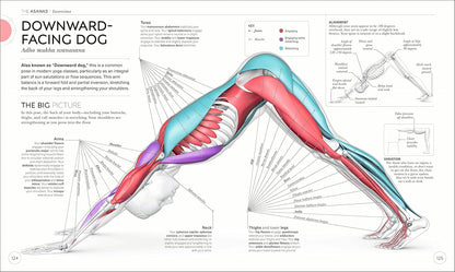 Science of Yoga: Understand the Anatomy and Physiology to Perfect Your Practice