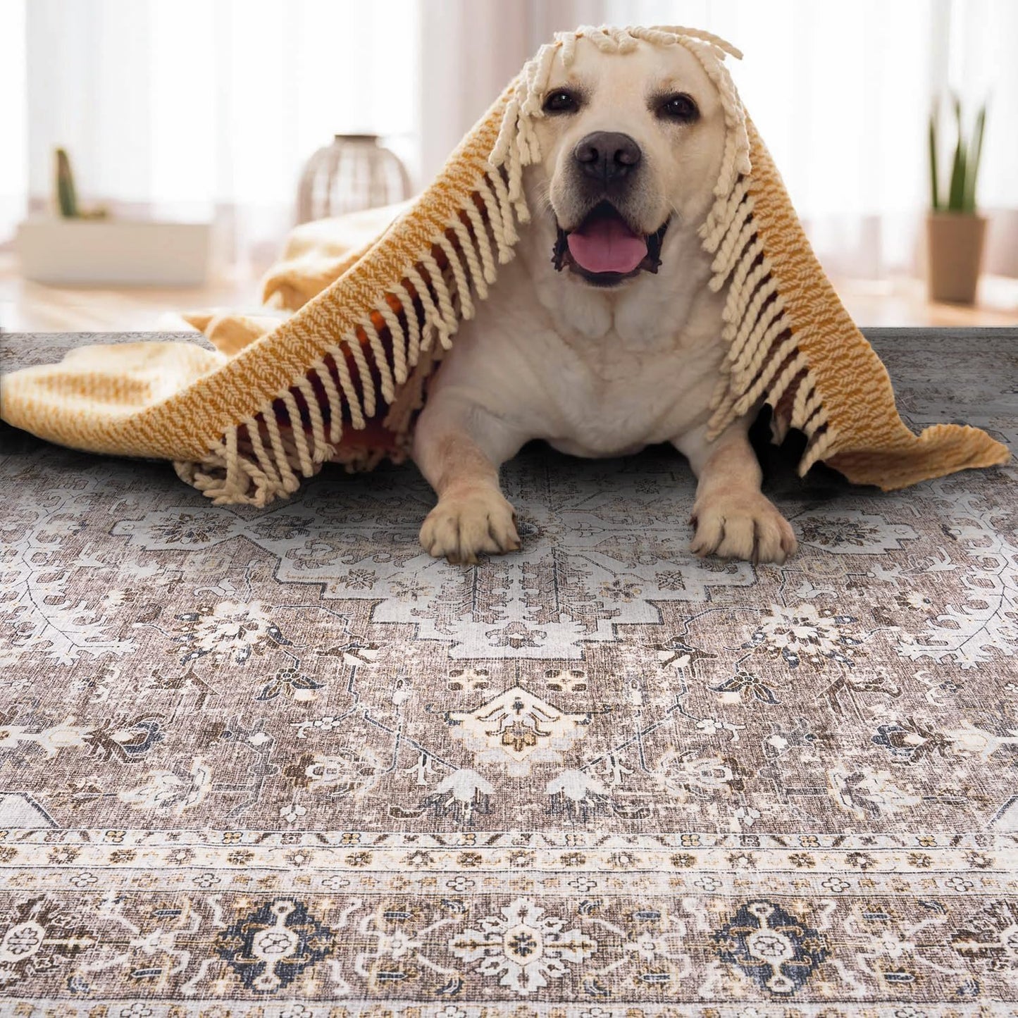 Area Rug for Living Room 5x7 Large Carpet-Machine Washable Vintage Traditional Rugs for Bedroom Dining Room Office Rug Non Slip Retro Taupe & Beige