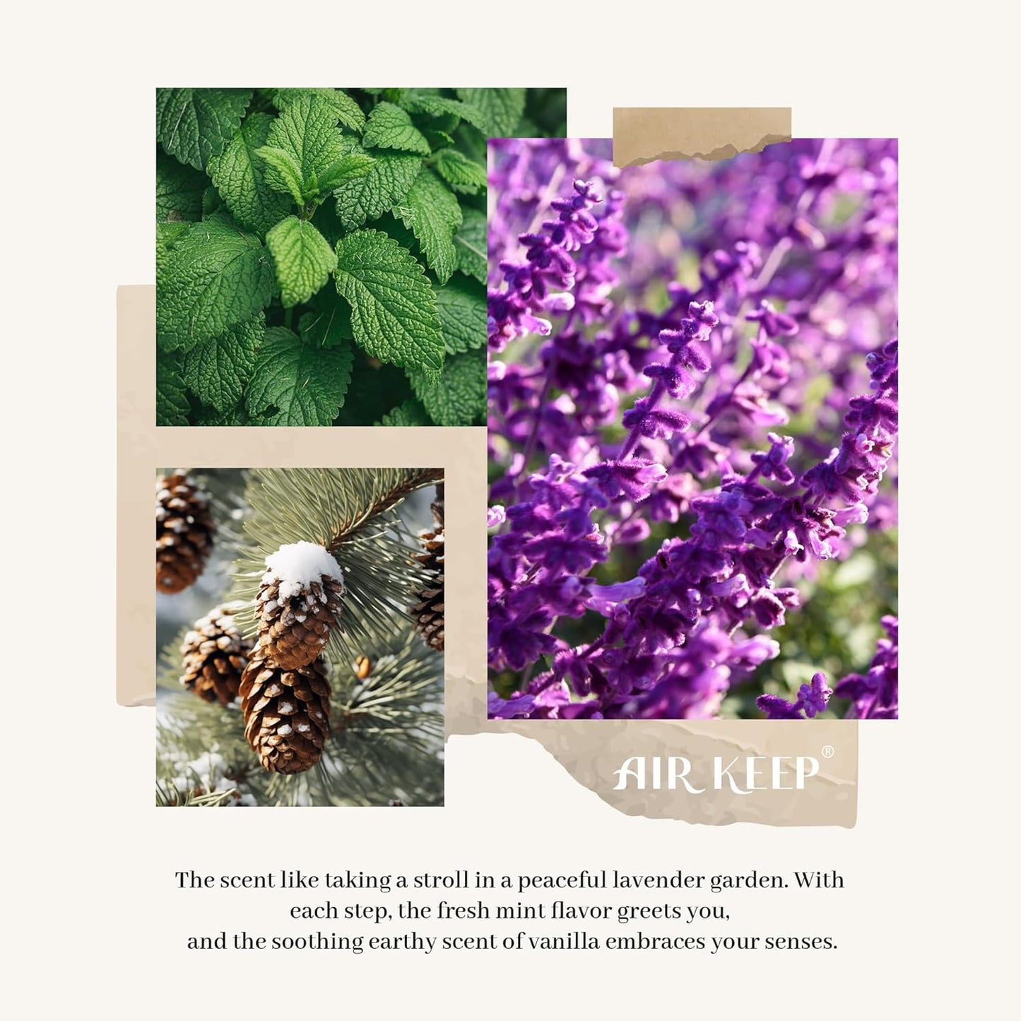 AirkeepReed Diffuser Set/Lavender Eucalyptus/6.76 fl oz(200ml)/1 Pack/Home & Office Decor Aromatherapy Diffuser Oil Gift Set
