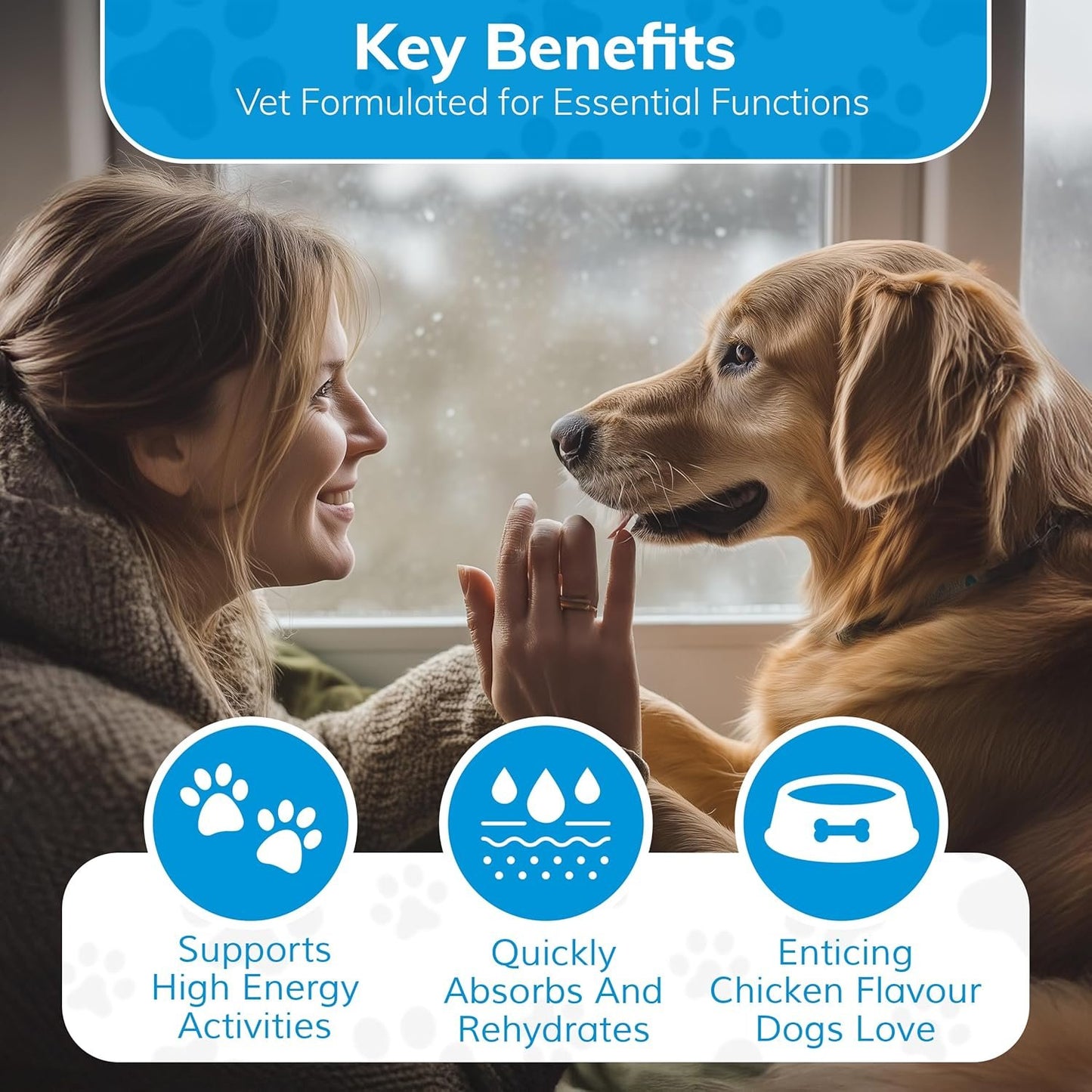 Replenish Dog Water Recovery Supplement, All-Natural Flavoring, 10 Packets per Box