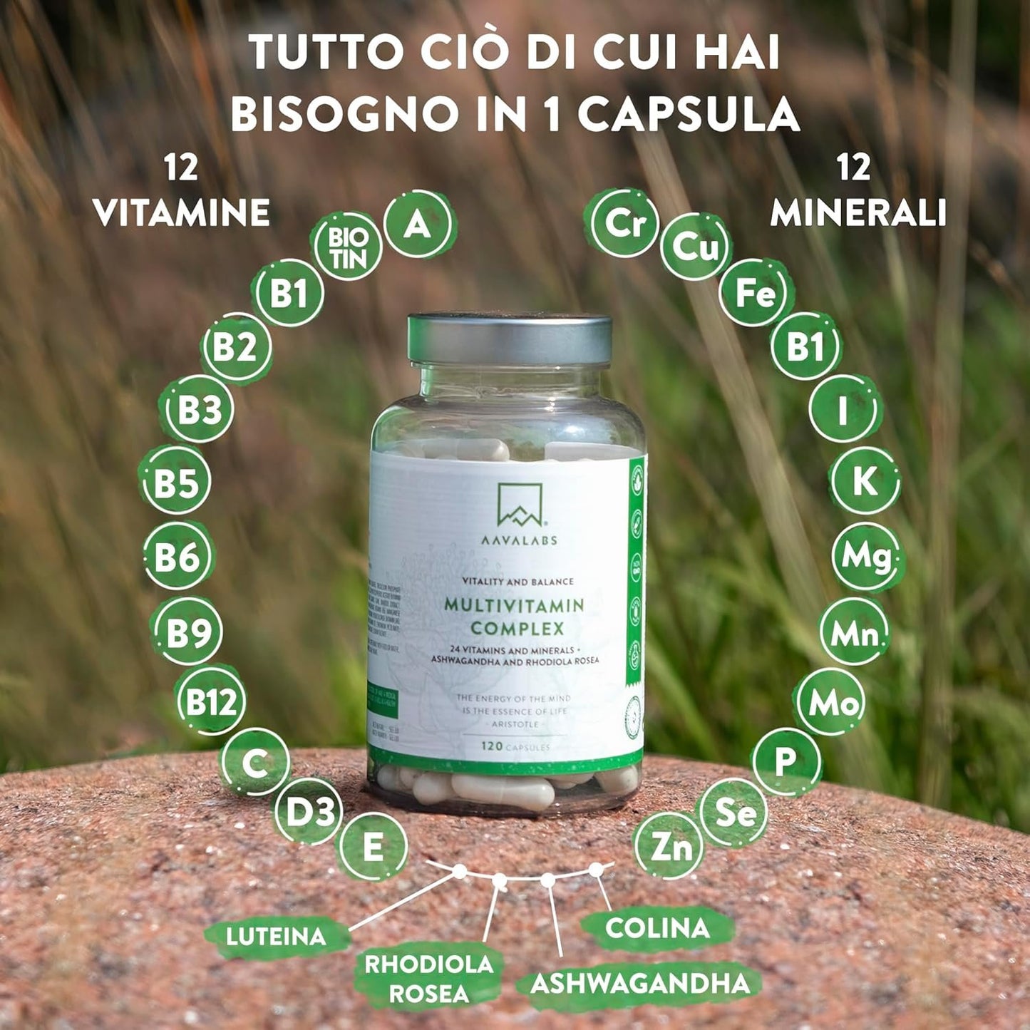 Complete Multivitamin 24 Vitamins and Minerals Ashwagandha Rhodiola Rosea, Multivitamin Supplement for Women and Men Immune Defenses Adults Vitamin D Vitamin C Zinc Magnesium and Potassium