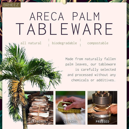 brheez Palm Leaf Bowls 6 Inch - 25 Count - Eco Friendly, Compostable & Biodegradable – Elegant Bamboo Look Disposable Bowls are Heavy Duty and More Environmentally Friendly Than Paper Bowls