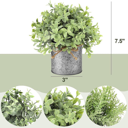 Mkono Mini Fake Plants in Farmhouse Galvanized Metal Pots Table Centerpiece Rustic Home Decor, 3 Pack Potted Artificial Plants Faux Eucalyptus for Shelf Indoor Dining Room Office