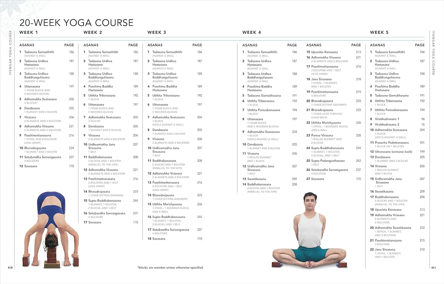 B.K.S. Iyengar Yoga The Path to Holistic Health: The Definitive Step-by-step Guide
