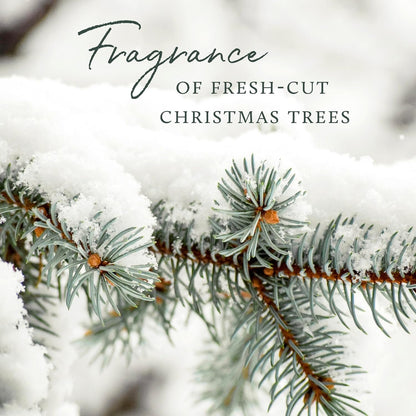 Thymes Frasier Fir All-Purpose Cleaner - Biodegradable Cleaner with Natural Essential Oils - Household Spray for Cleaning Bathrooms, Kitchens, Counters, and Other Surfaces (16 fl oz)