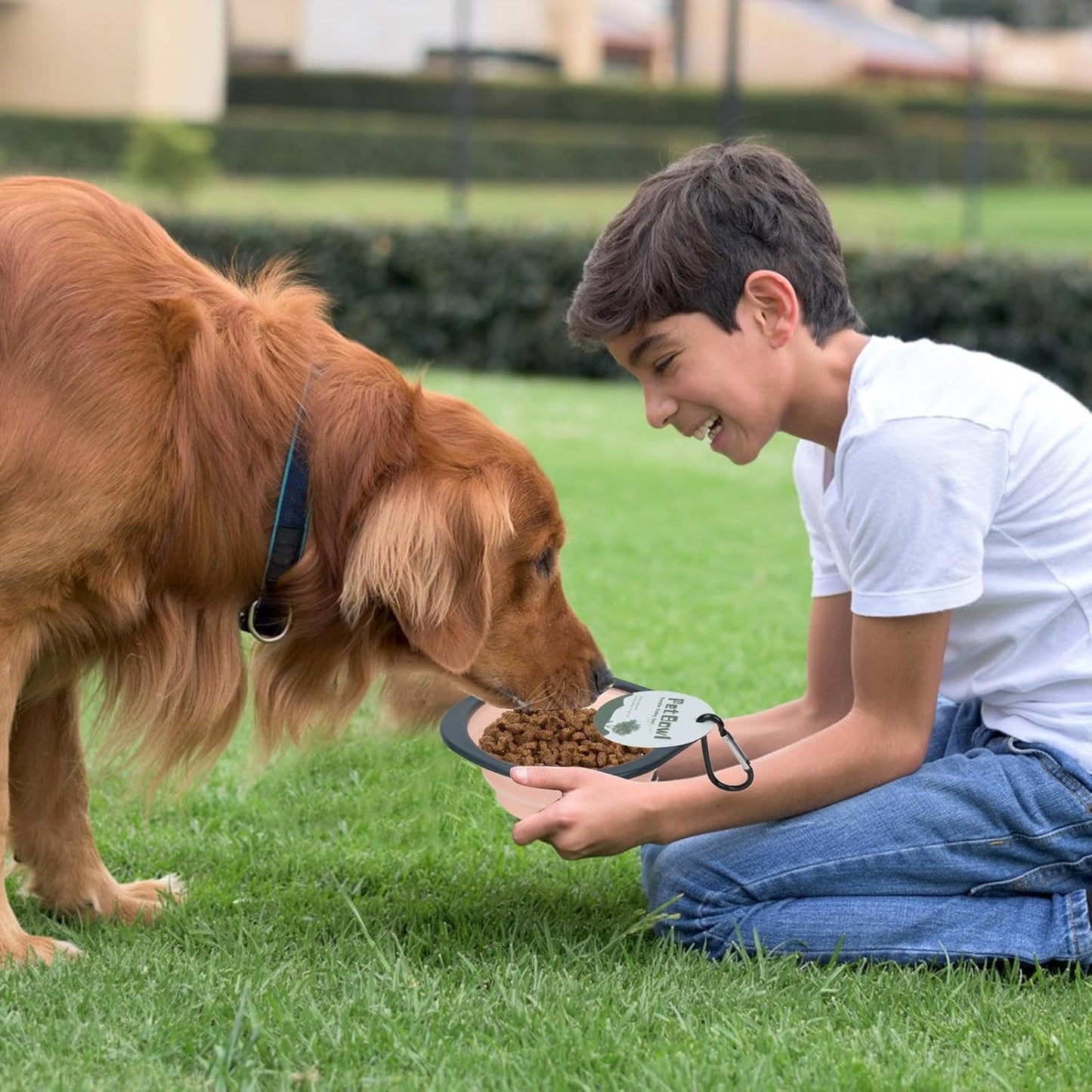 Portable Dog Bowl - collaapsible Silicone Dog Bowls | Food Water Feeding Dish for Dogs Cats | Pet Feeding Watering Dish | Pet Folding Bowl | Feeding Supplies for Outdoor Traveling Hiking Walking