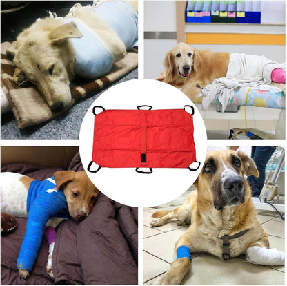 Pet Stretcher, Foldable Transport Rescue Tool, Multifunctional Pazient Transfer, Safety Straps, Lightweight Sturdy for Medium to Large Dogs, Gatti, Bunnies, Veterinary, Home Use