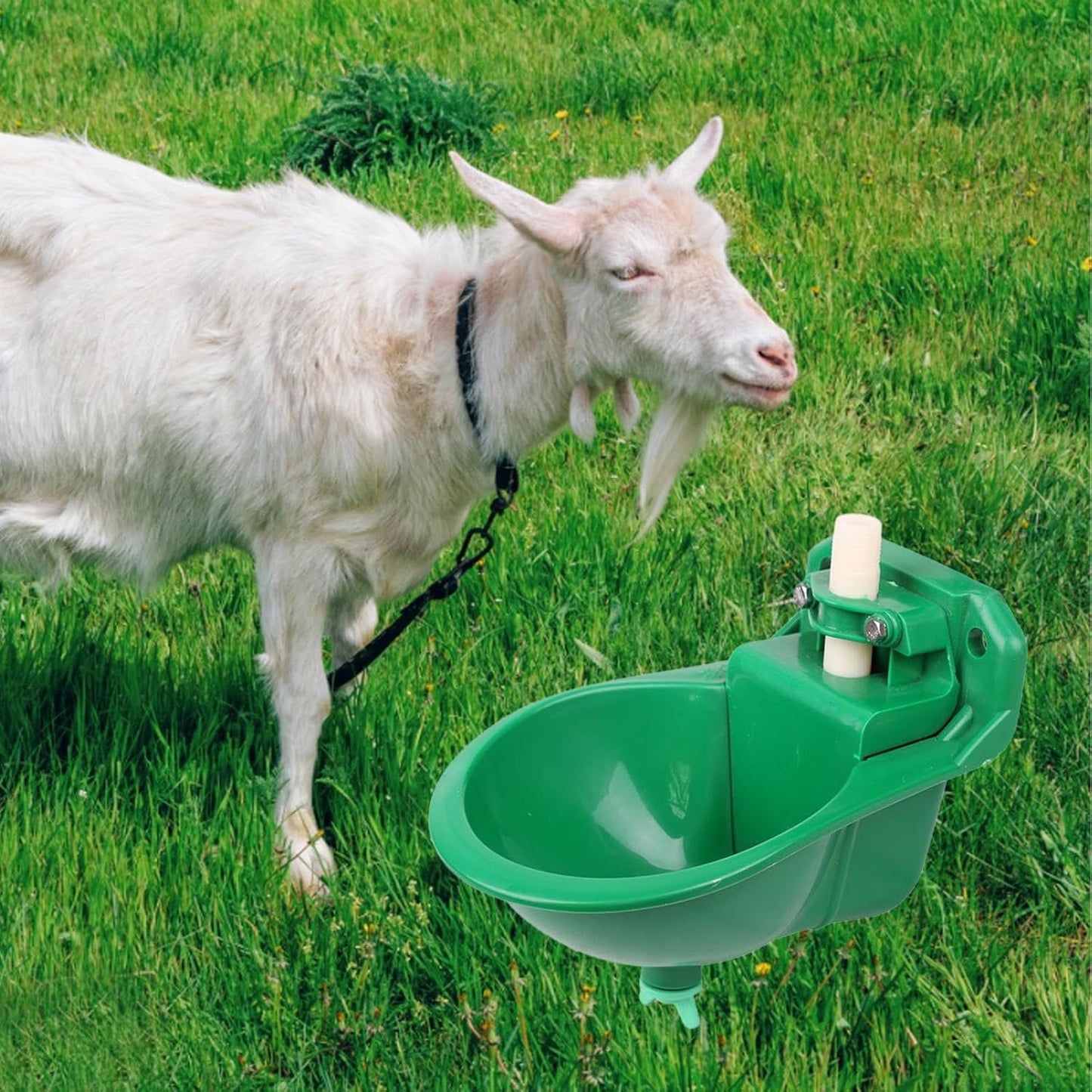 Qianly Automatic Sheep Feeding Water Bowl, Goat Waterer Watering System Auto Drinker Waterer Cup Water Trough for Farm Animals, Dog, Cow, Sheep