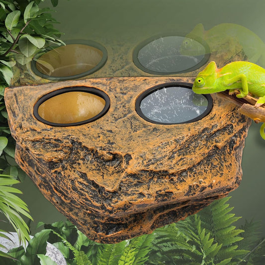 Reptile Magnetic Feeder Ledge, Reptile Food Water Dish with 2Pcs Bowls, Double Bowl Gecko Feeder Ledge, Reptile Feeding Bowl, Lizard Feeding Ledge for Lizard Crested Gecko