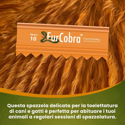 FurCobra Direct 10 Pet Grooming Brush 9cm - Gentle, No Metal Blades Brush Cats and Dogs - Portable, Easy to Use, Carder for Dogs and Cats