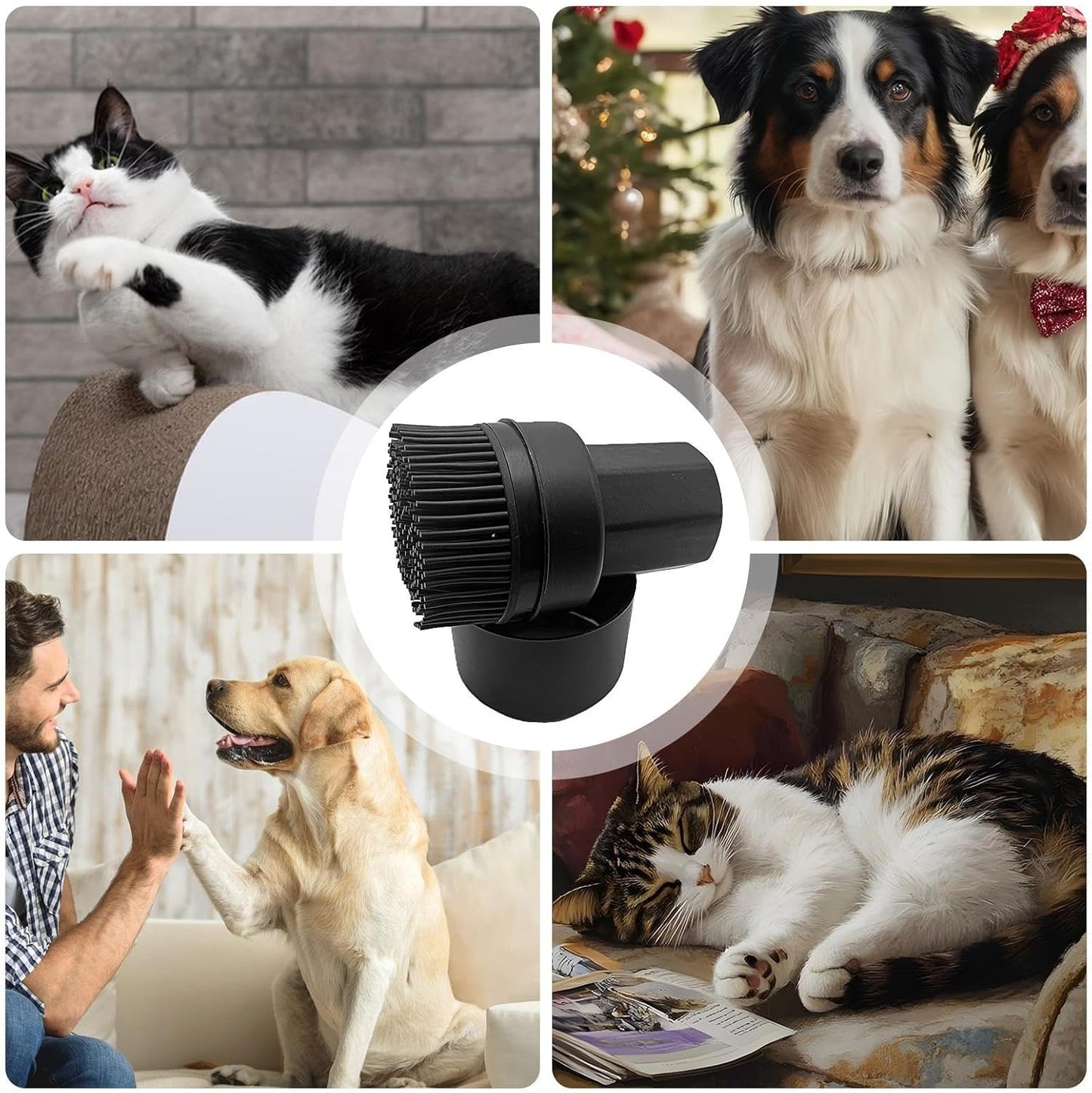 Pet Hair Removal Brush, Brush Dog Grooming Shedding, Gentle Ergonomic Portable Cleaning Kit, 3.22 x 5.59 Inch Essential Tool for Home Indoor Puppy Kitten Hygienic Bath and Routine