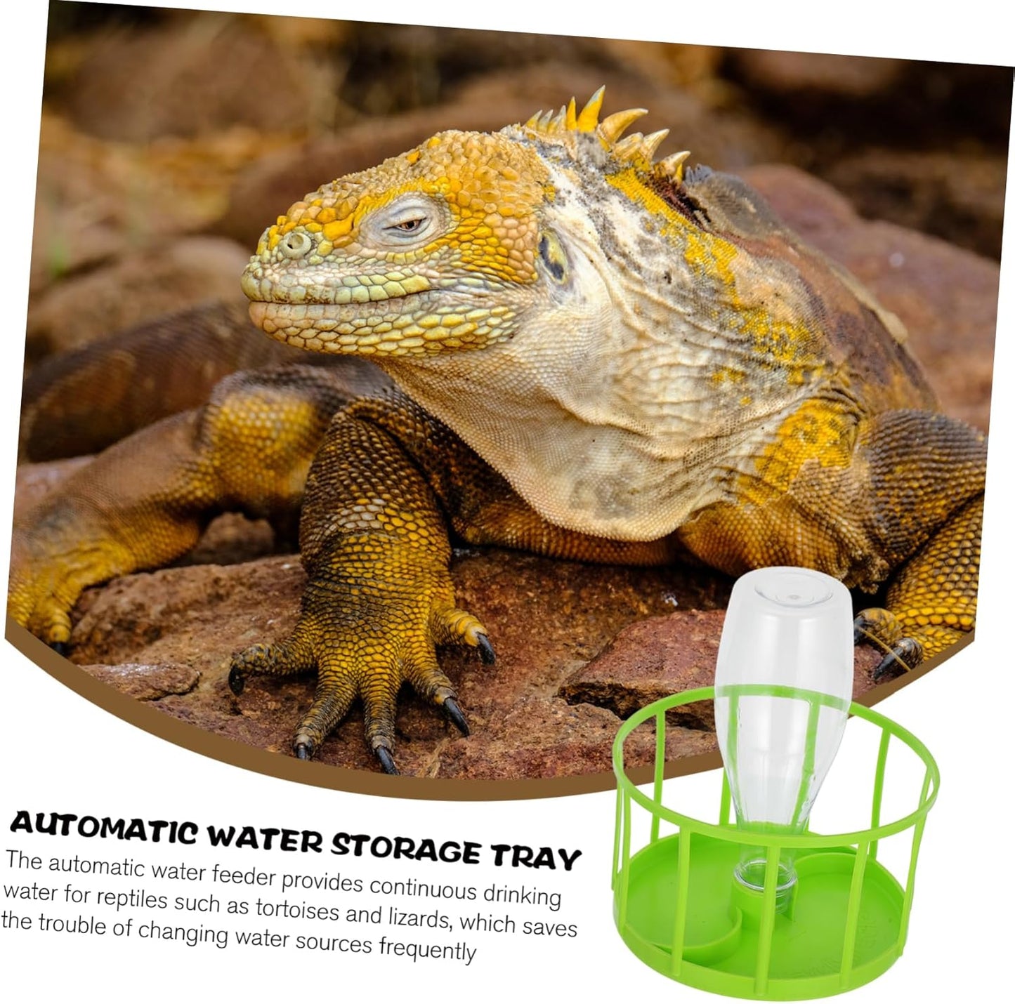 HANABASS Alimentatore Automatico di Acqua Ciotola d'Acqua per Lucertole Cibo per Rettili Ciotole d'Acqua Ciotola per L'alimentazione dei Rettili Ciotola d'Acqua di Rettile ABS Verde Chiaro