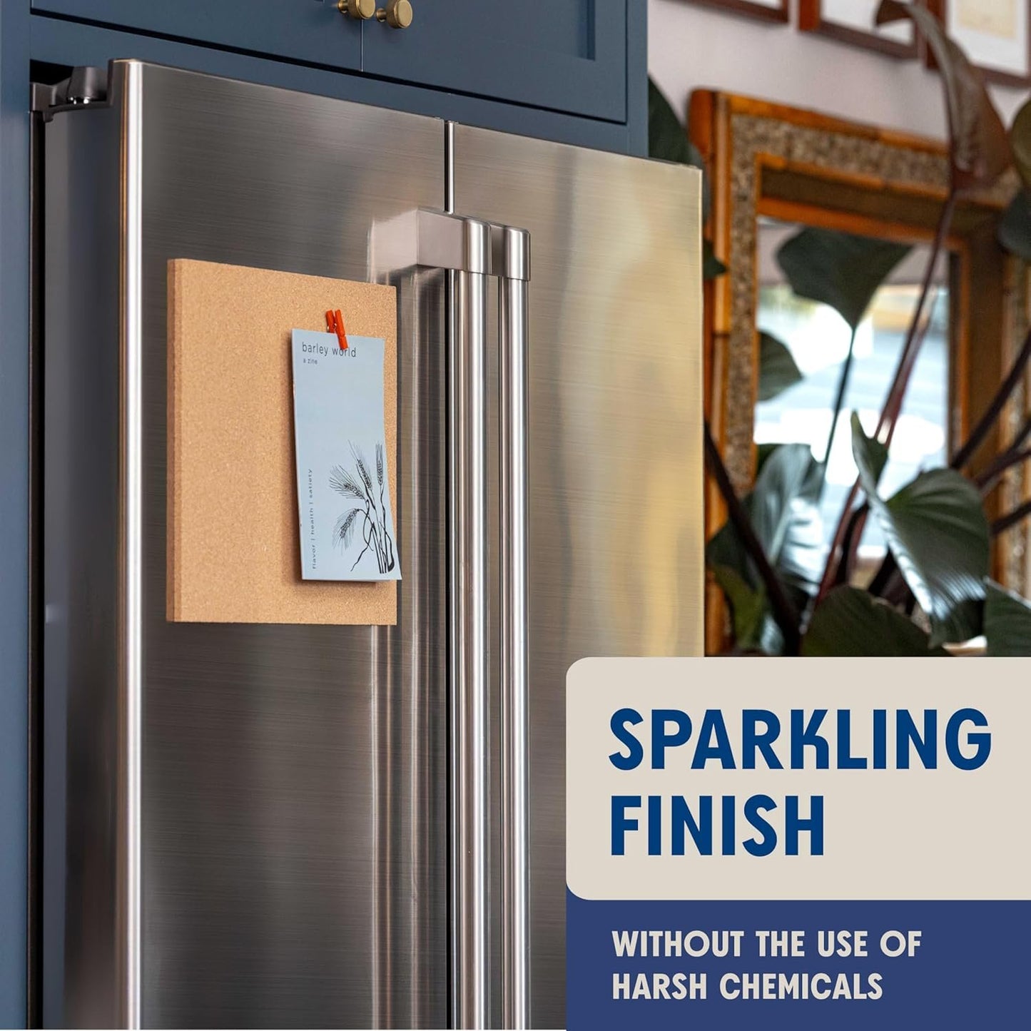 Aunt Fannie's Stainless Steel Spray Cleaner, Powered by Vinegar, Fingerprint and Residue Remover for Refrigerator, Dishwasher, Oven, Grill, Sink, Stovetop, and Other Appliances, Pack of 1