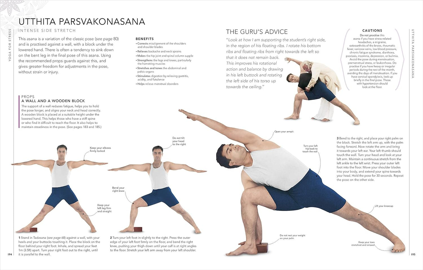 B.K.S. Iyengar Yoga The Path to Holistic Health: The Definitive Step-by-step Guide