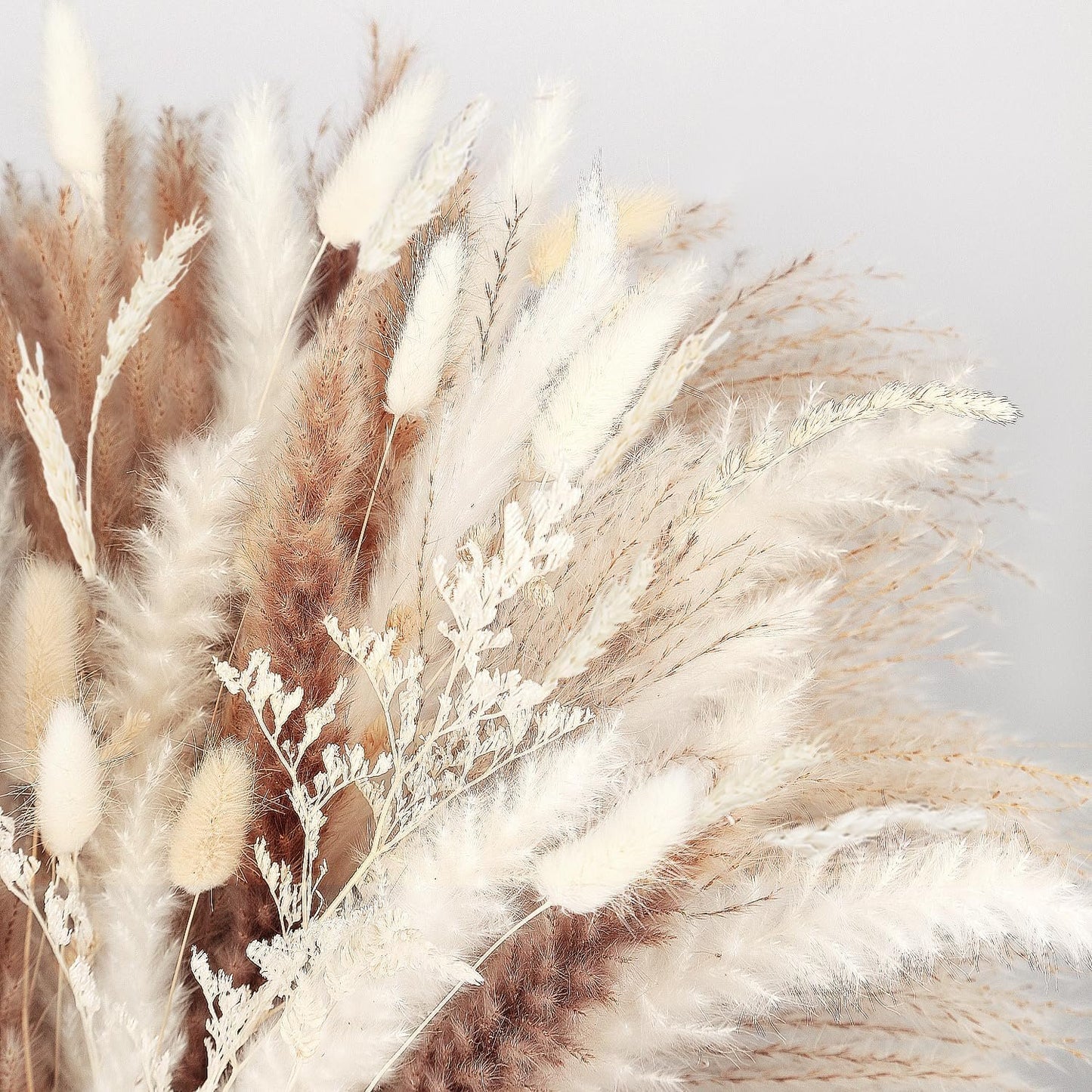 86PCS Natural Dried Pampas Grass Mix Bouquet, Boho Home Decor Phragmites Dried Flowers Reed, Bunny Tails Table Decor, Pompas Grass for Wedding Floral Arrangements Rustic Farmhouse Party Fall Decor