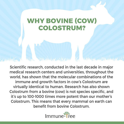 100% Bovine Colostrum Powder, 120 Servings, 6.5oz, Supports Anti-Aging, Healthy Immune System, Gut & Digestion, Muscle & Tissue, & Wellness, Made in USA from Grass Fed, Grade A Dairy Cows