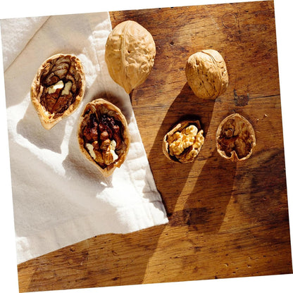 PartyKindom Clip di pinoli Macadamia Apri Pesante Utensili Cucina Utensili per Cucina Gadget Cucina Strumento per pinoli Resistente all'Usura Accessorio per la casa Acciaio Inossidabile