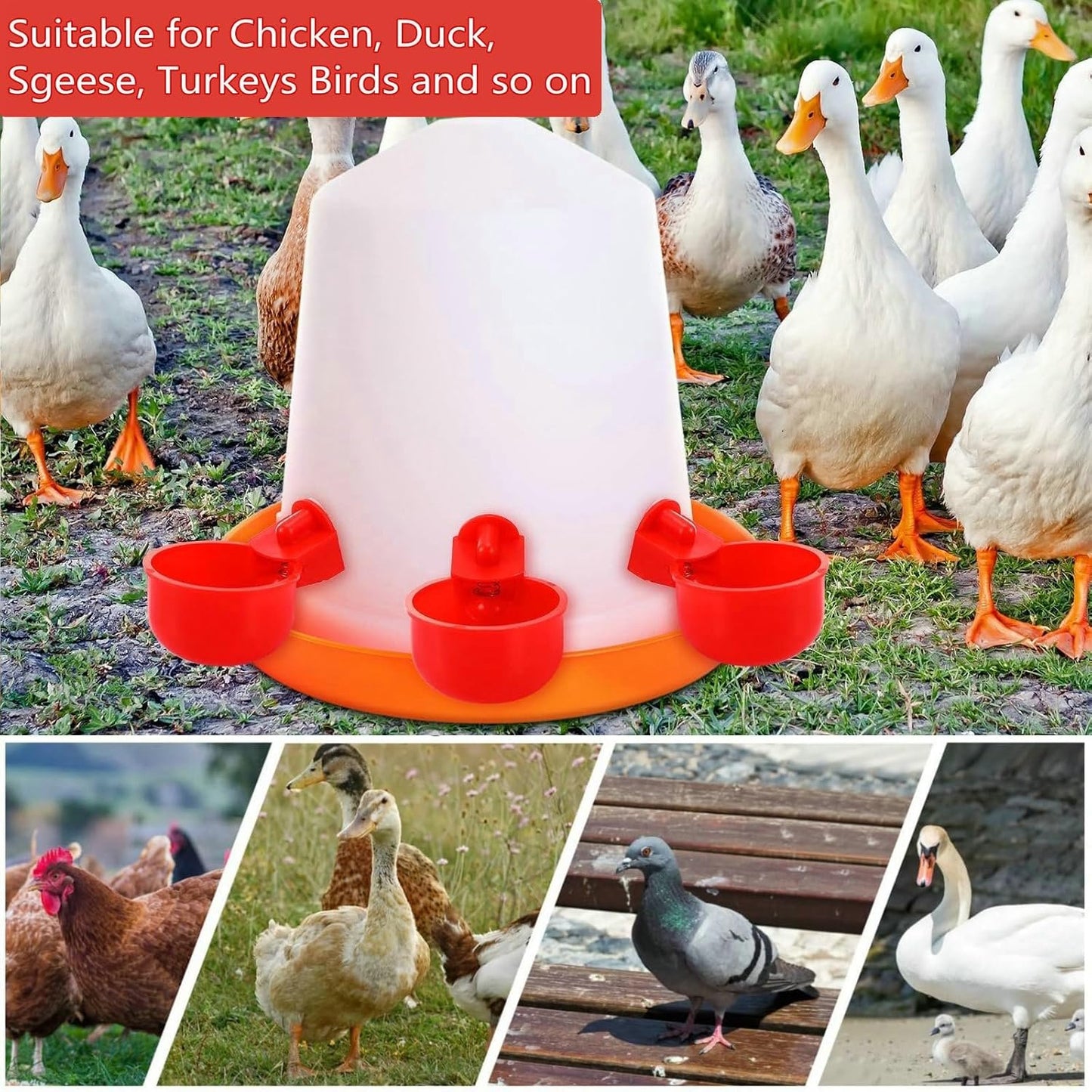 12Pcs Chicken Waterer Cups, Automatic Chicken Water Feeder with Nut and Hole Saw, PILZUME Chicken Watering System Poultry Water Feeder Kit, Suitable for Chicks Duck Goose Birds
