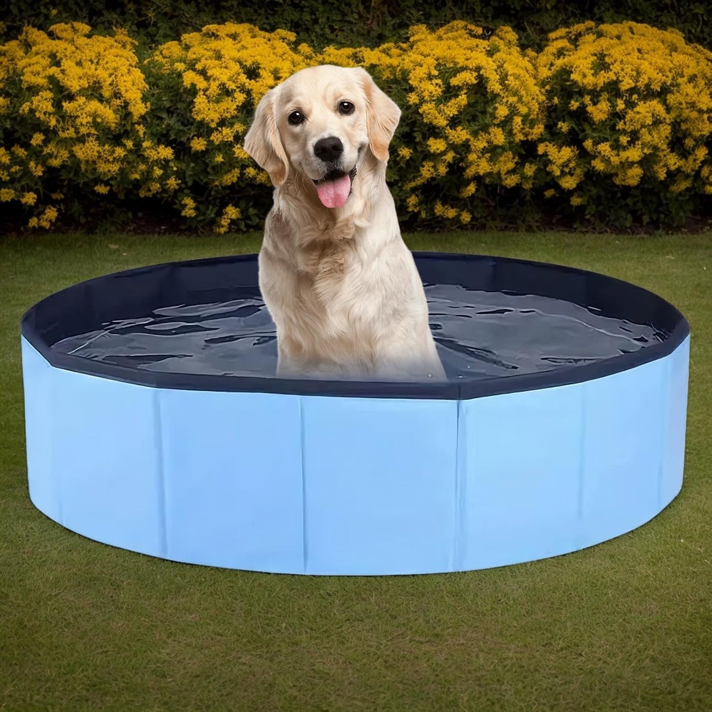 Chicken Dust Bath Tub, Foldable Manure Bathtub, PVC Non-Slip Reusable Pet Feeder, Easy to Clean, for Ducks, Poultry, Farm, Lawn, Backyard Use, 80x20cm/31.5x7.87 inches