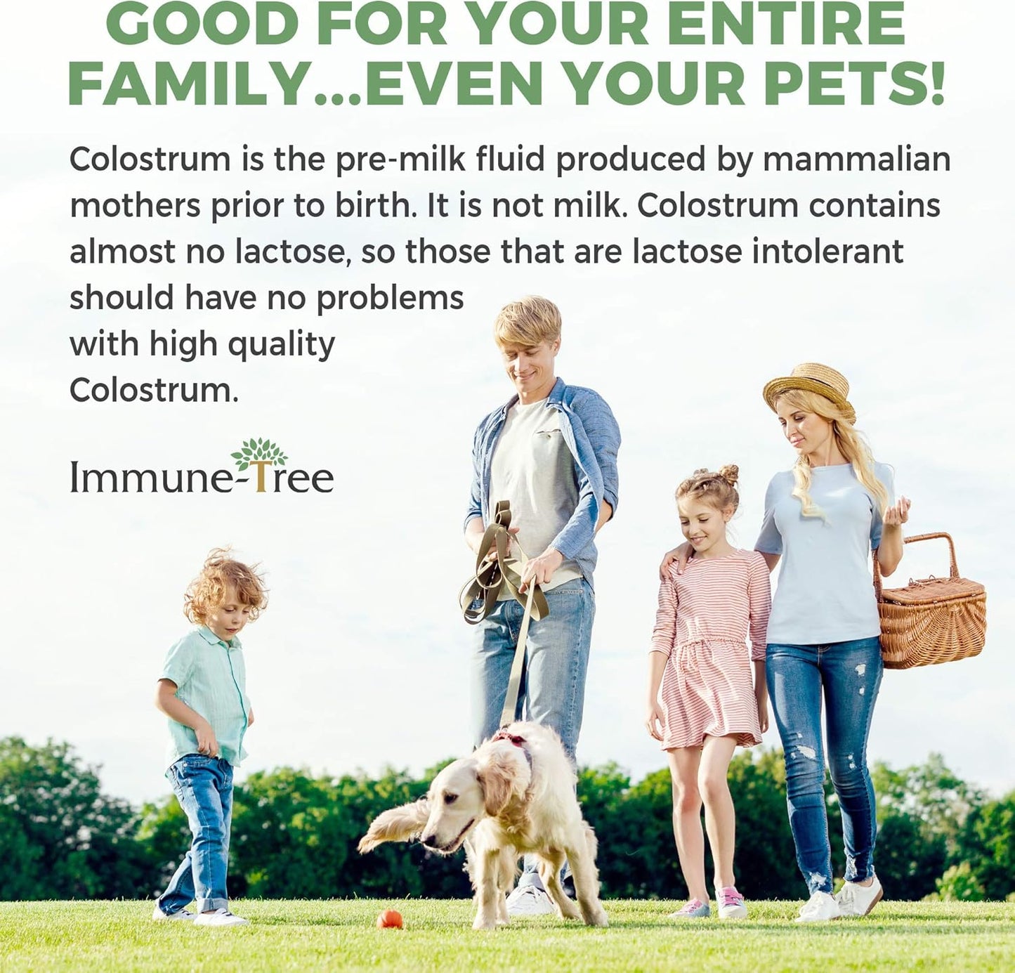 100% Bovine Colostrum Powder, 120 Servings, 6.5oz, Supports Anti-Aging, Healthy Immune System, Gut & Digestion, Muscle & Tissue, & Wellness, Made in USA from Grass Fed, Grade A Dairy Cows