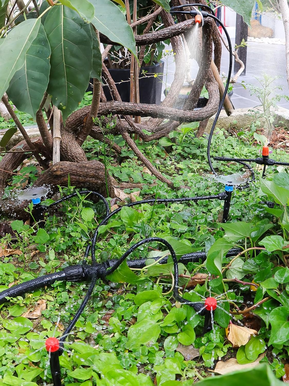 207 piedi Kit Irrigazione a Goccia Automatica con Timer l'Acqua, Kalolary Sistema Irrigazione Giardino Regolabile 1/4" 1/2" con Tubi 4/7 16 mm Sistema Irrigazione Automatica Micro Goccia Prati Cortili