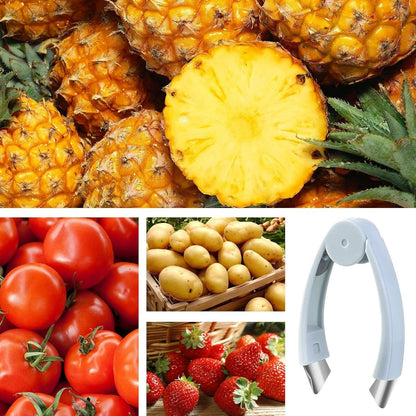 Strawberry Huller Stem Remover | Stainless Steel Pineapple Eye Removal Tool | Ergonomic Handle Tweezers, Kitchen Food Prep Cooking Utensils for Tomatoes, Cherry, Potatoes, Pepper