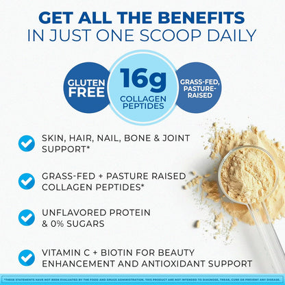 Unflavored Collagen Protein Powder with Biotin & Vitamin C – Powerful Bone & Joint Support, Anti-Aging Formula for Radiant Skin, Hair & Nails, Antioxidant-Rich Wellness Boost – 500g (1)