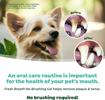 Tropiclean Fresh Breath by Dental Hygiene Gel for Dogs – Clean Teeth, Without Brushing – Against Plaque & Tartar – Original – 118 ml