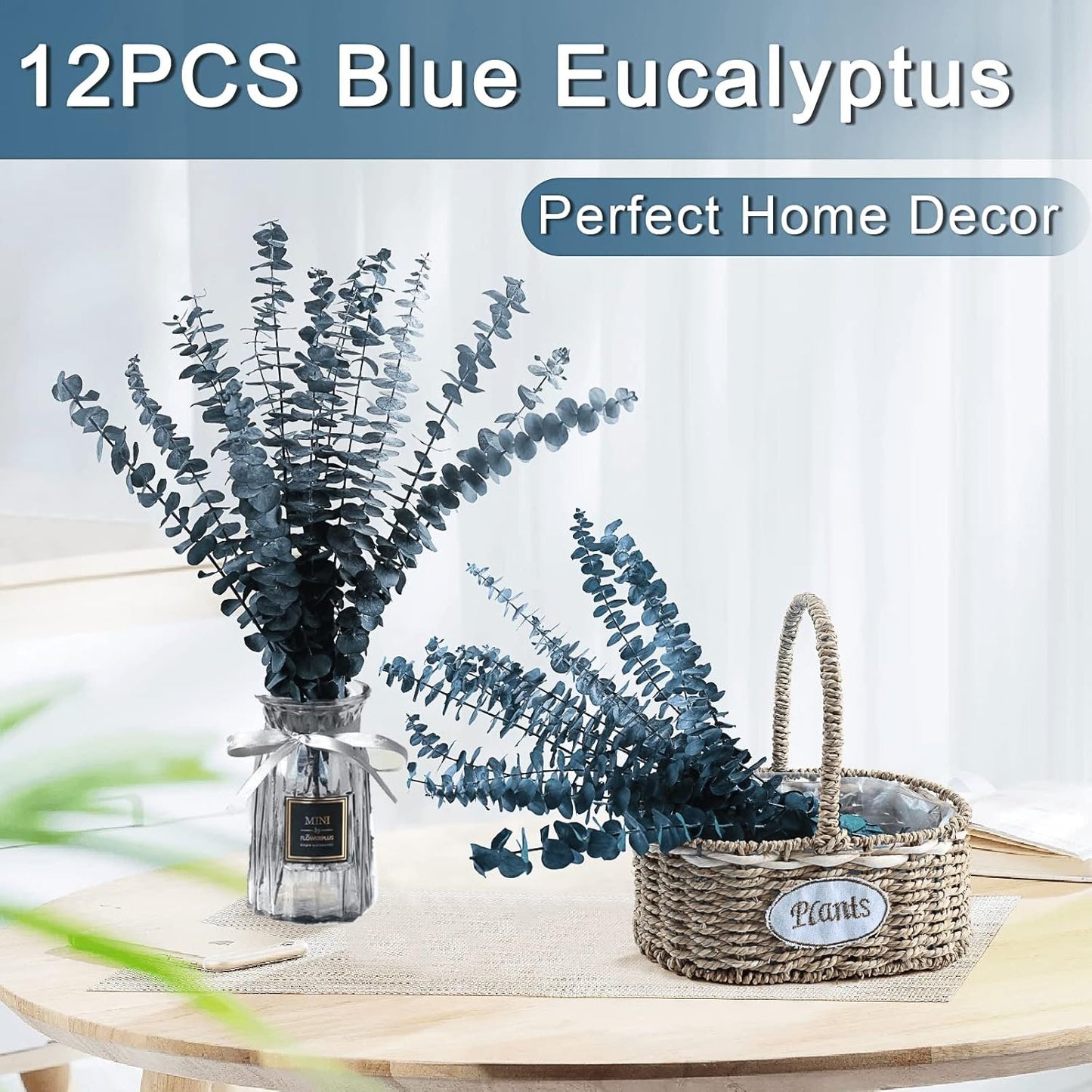 Preserved Dried Eucalyptus Stems Bundle - 12 PCS Blue Eucalyptus for Shower, 17" Natural Eucalyptus Bundle Real Greenery Fresh Leaves Plants, Aromatherapy SPA, Wedding Arrangements, Home Decor