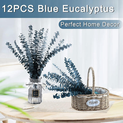 Preserved Dried Eucalyptus Stems Bundle - 12 PCS Blue Eucalyptus for Shower, 17" Natural Eucalyptus Bundle Real Greenery Fresh Leaves Plants, Aromatherapy SPA, Wedding Arrangements, Home Decor