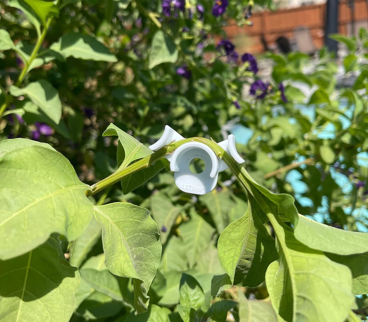 AirTech Home Automation Plant Training Clips, LST Clips for Low Stress Training Plant Stem Support, 90 Degree Angle Plant Clips, Made in California USA, 30pk White