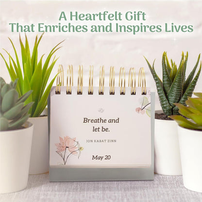 MESMOS 366 Daily Self Care Quotes Mindfulness Perpetual Calendar, Cute Office Desk Decor Women, Desk Decorations Accessories for Women Office, Motivational & Inspirational Gifts
