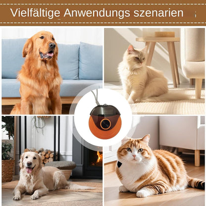 Spazzola per capelli per cani forforfora | Piccole spazzole per capelli per gatti - Pettini multifunzionali per animali domestici, attrezzi per la cura dei cuccioli portatili per gatti Demating